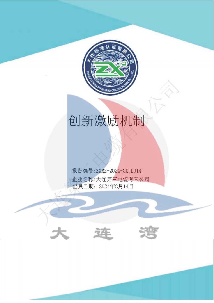 大連第三電纜有限公司創新激勵機制報告_頁面_011.jpg