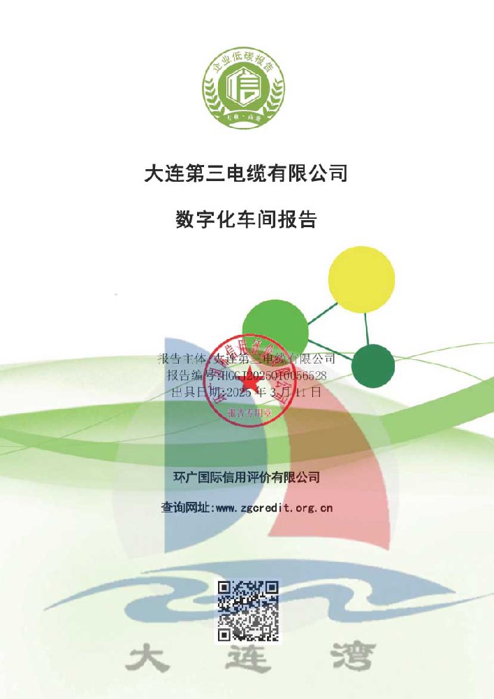 大連第三電纜有限公司-數字化車間報告_頁面_011.jpg