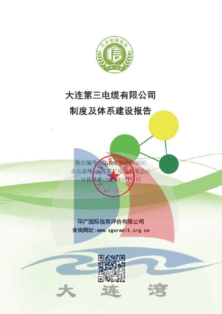 大連第三電纜有限公司-制度及體系建設報告_頁面_011.jpg